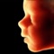 Experience with us the fascination of newly emerged life