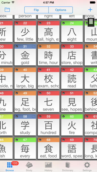 StickyStudy: Japanese Kanji + Dictionary (JLPT N1/N2/N3/N4/N5 Kanji & Vocabulary Flashcards) Screenshot 2