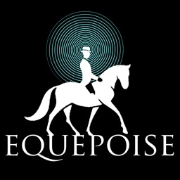 Equepoise Head