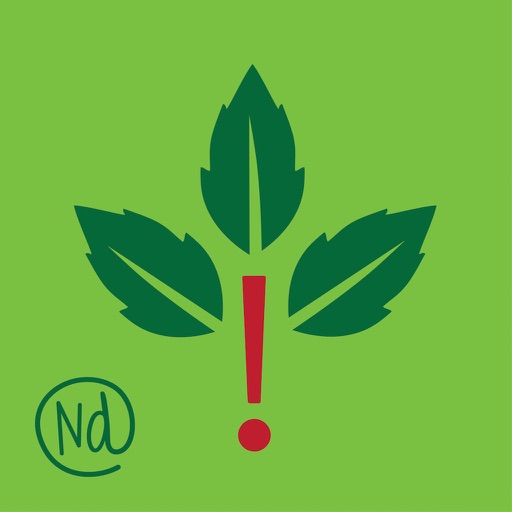 Rash Plants Icon