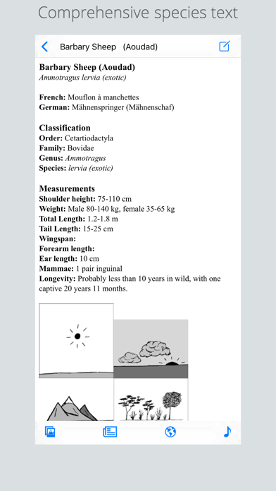 Stuarts European Mammals screenshot 2