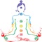 Chakras recieve and transmit subtle energy, aiding meditation and self-reflection