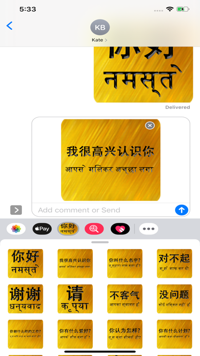 Chinese Hindi screenshot 3