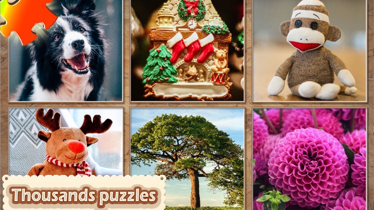 Jigsaw Puzzle Pieces