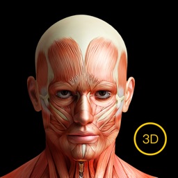 3d人体解剖学-三维运动解剖&经络穴位