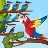 Bird Sort Puzzle Animal Sortit