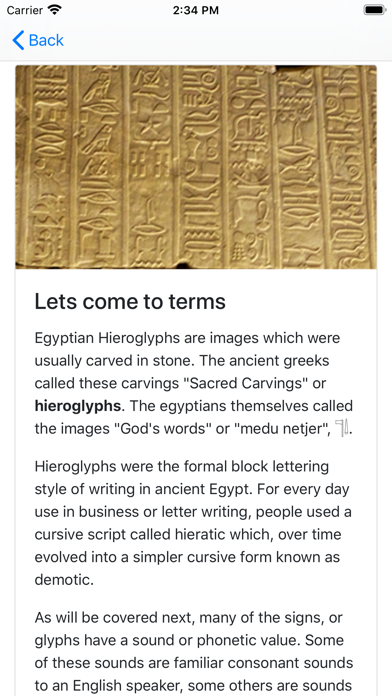Hieroglyph Pro screenshot 9