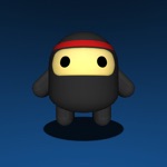 Stealth Ninja