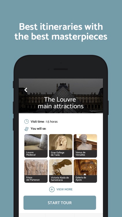 MET Guide & Tours