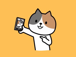 KITTy Cat Animated Stickers