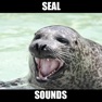 Get Seal Sounds & Seal Barking for iOS, iPhone, iPad Aso Report