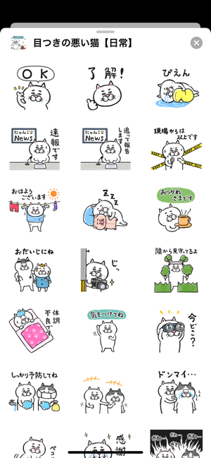 Pretty cat 6(圖2)-速報App