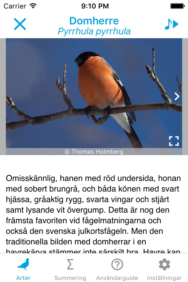 Vinterfåglar Inpå knuten. screenshot 2