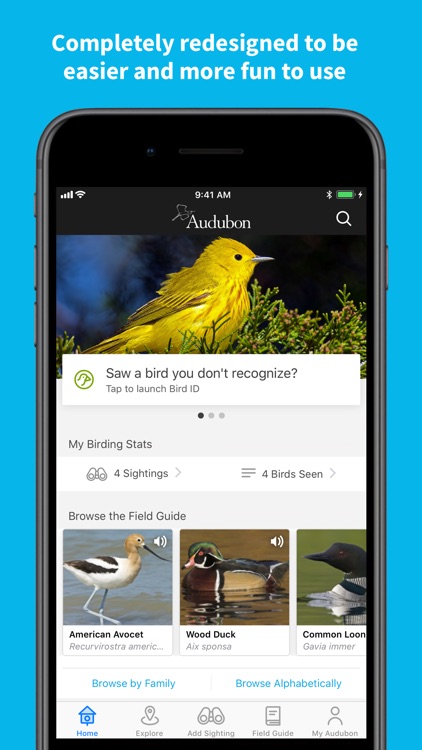 Audubon Bird Guide