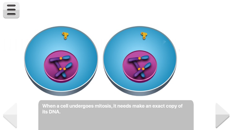 Biology Molecular Genetics P