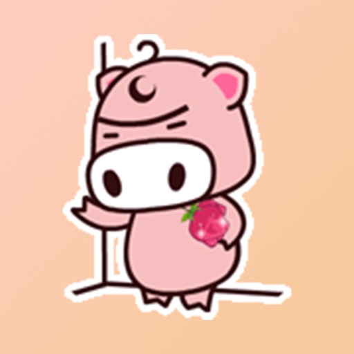 TaoqiPig