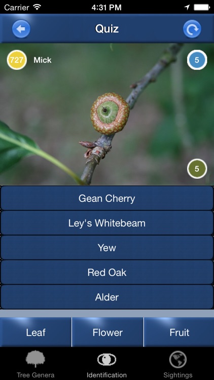 Tree Id identify UK trees screenshot-4