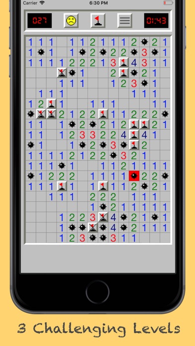 Minesweeper Classic Puzzles screenshot 2