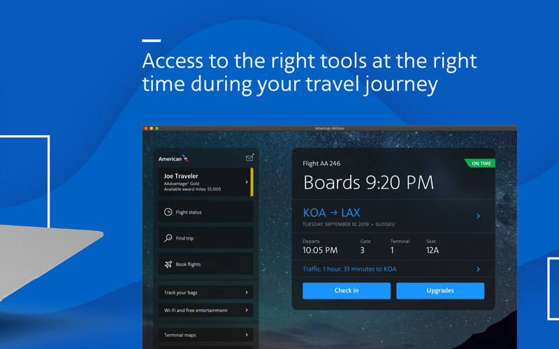American Airlines screenshot 2