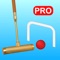 This app records your gate ball scores