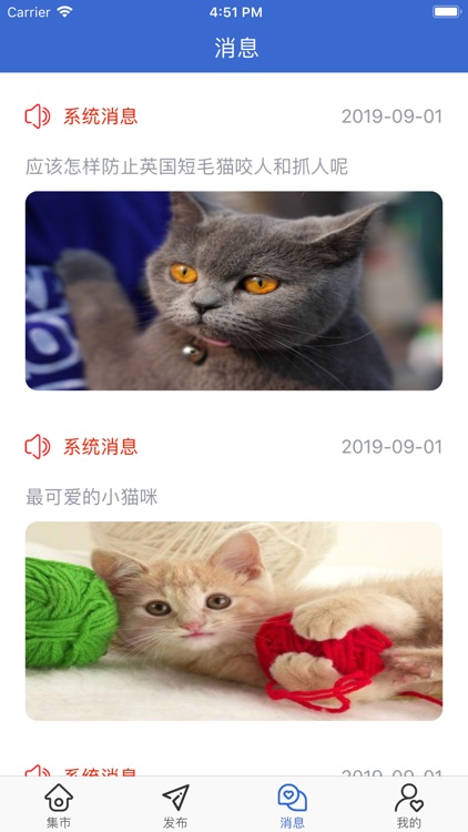 猫咪时刻