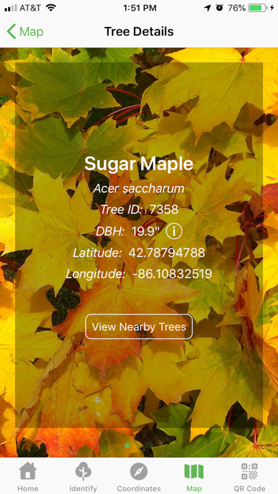 TreeSap screenshot 2