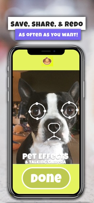 Pet Effects and Talking Camera(圖5)-速報App