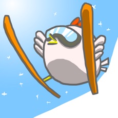 Activities of Bird Ski Jump