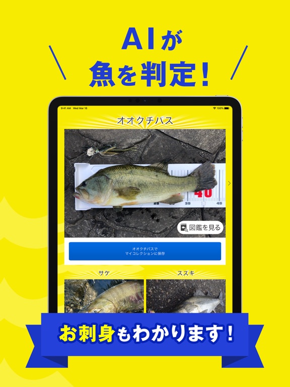 フィッシュ-AIが魚を判定する未来の魚図鑑のおすすめ画像4