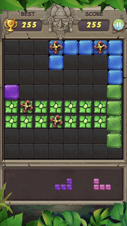 1010 Block King Puzzle