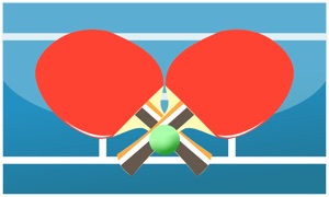Table Tennis MultiPlayer