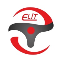 Van Elit Sürücü Kursu pour PC