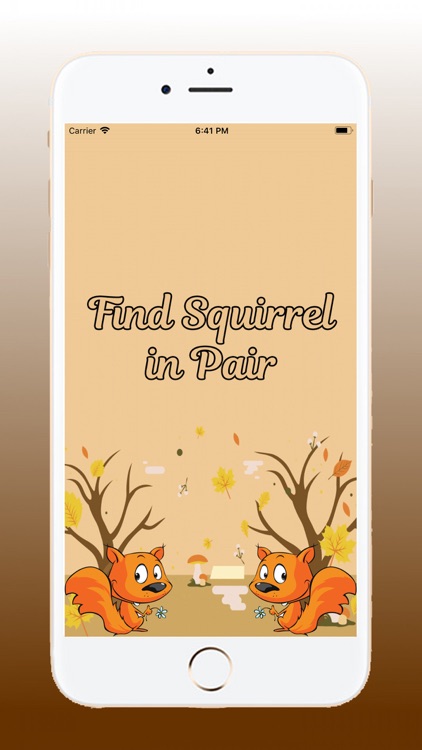 Find Squirrel in Pair