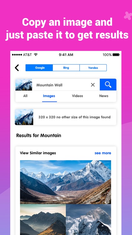 Image Search •