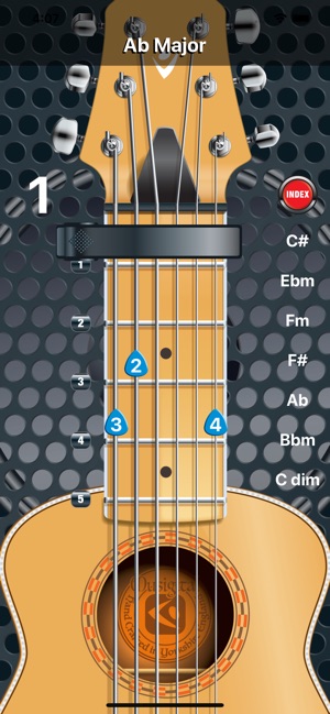 Capo Acoustic S(圖1)-速報App