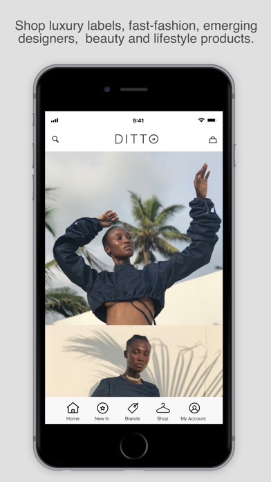 Ditto Africa screenshot 2