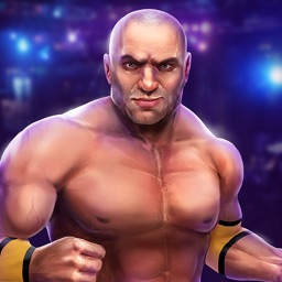 Wrestling Fight Champion 3D