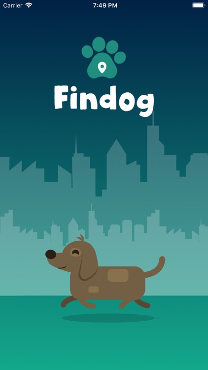 Findog Ongs (Acesso para Ongs)