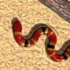 Real Snake Game