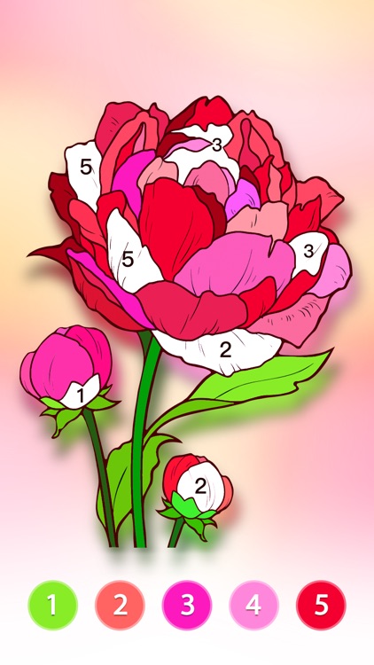 Coloring Fun : Color by Number