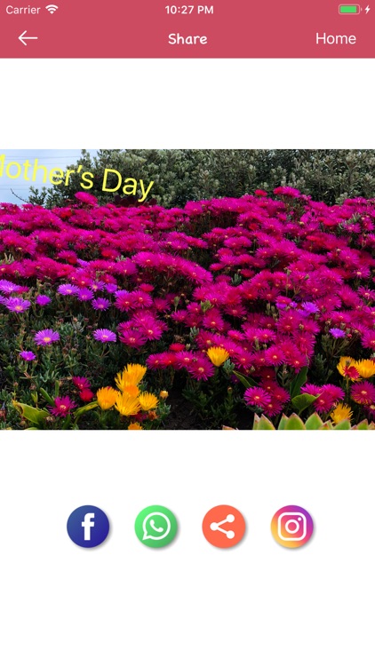 Mother's day Frames&Sticker screenshot-3