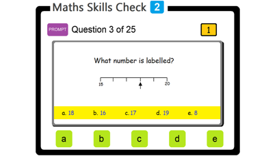 PAM Maths Skills Check 2 screenshot 3