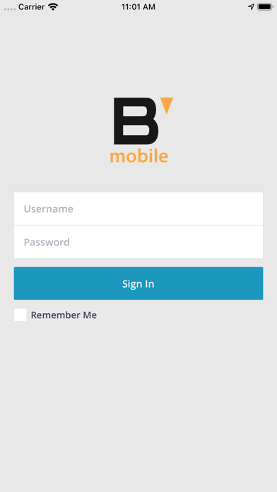 B Mobile Client screenshot 3