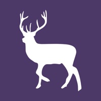 Stockeld Park pour PC