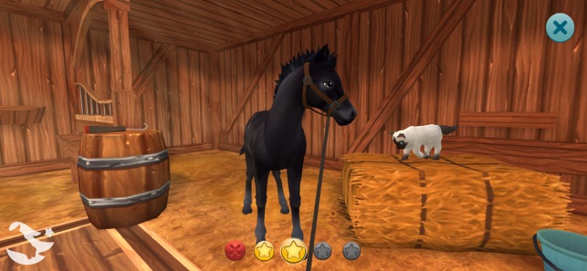 Star Stable Horses(圖4)-速報App