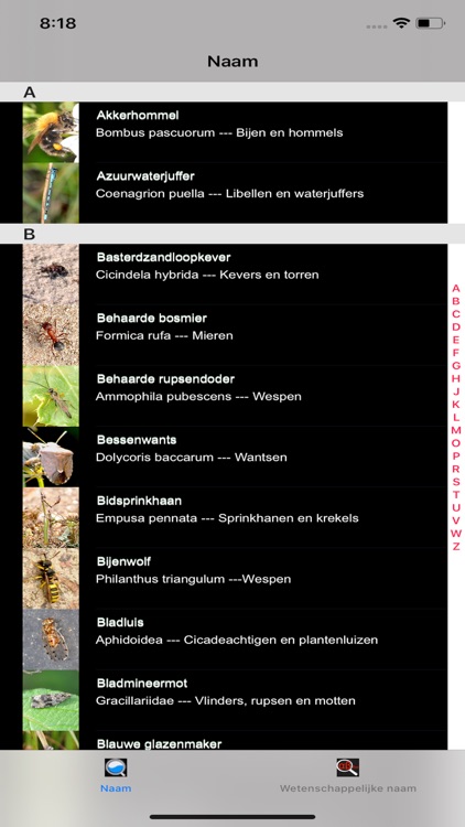 Insecten