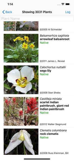 Colorado Wildflower Search(圖2)-速報App