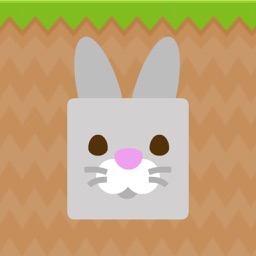 Burrow Bunny