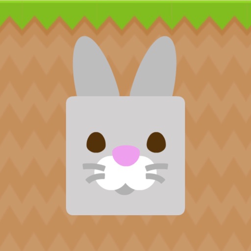 burrow bunny