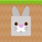 Help the Bunny avoid the rocks that blocks it path